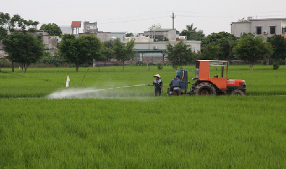 Chủ động phương án phòng chống sinh vật gây hại cây trồng