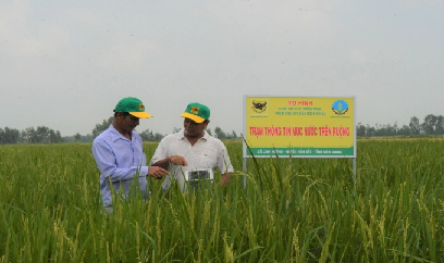 Vụ đông xuân 2021 - 2022, Đồng Tháp Mười năng suất tăng hơn 20%
