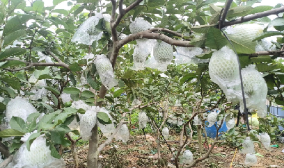 'Điểm tựa' giúp người dân vững bước làm giàu trên quê hương