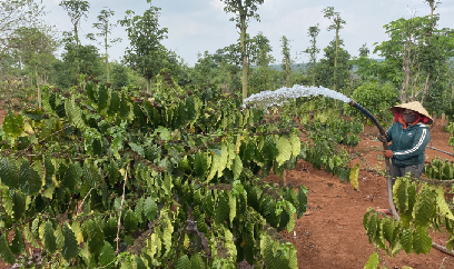 Xanh lại đất khó nhờ hồ chứa