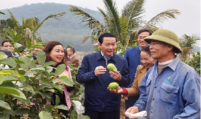 Xây dựng 'cẩm nang' sử dụng đất nông nghiệp xứ Thanh