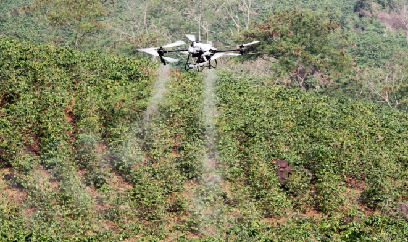 UAV mở hướng đi mới cho nông nghiệp Điện Biên