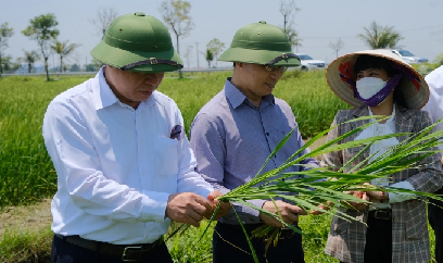 Giai đoạn quyết định thành bại vụ đông xuân