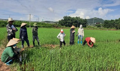 Hành trình dài đến với quản lý sức khỏe cây trồng tổng hợp