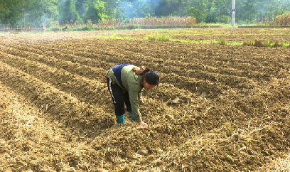 Nơi lần đầu làm vụ đông