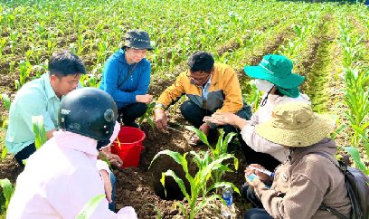 Đất khỏe, cây khỏe để chống chịu biến đổi khí hậu