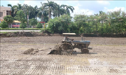 Nông dân Tiền Giang tranh thủ xuống giống vụ Xuân Hè