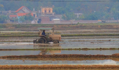 Quảng Ninh vừa chống dịch Covid-19, vừa đảm bảo gieo cấy vụ xuân