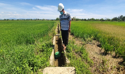 Chủ động phương án ứng phó hạn - mặn vụ hè thu