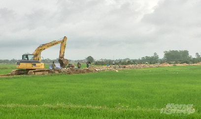 Quảng Trị khắc phục tốt hậu quả mưa bão để đón những mùa vàng