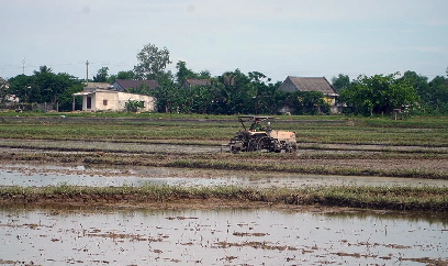 Quảng Trị kiên quyết không để ruộng hoang sau mưa lũ