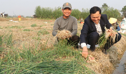 Hành vụ đông bội thu