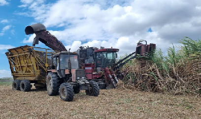 Khởi sắc mía đường: [Bài 6] Đột phá từ chương trình '4 hóa'