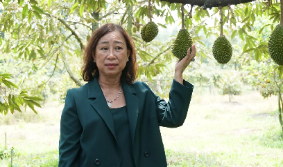 Bàn giải pháp canh tác sầu riêng đáp ứng rào cản kỹ thuật từ Trung Quốc