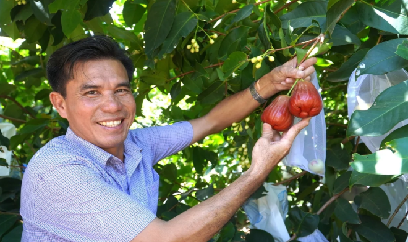 'Trái ngọt' đầu xuân trên đất mặn Cù Lao Dung