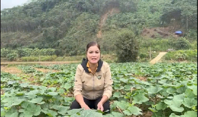 Sản xuất vụ đông giúp ổn định đời sống người dân sau mưa lũ