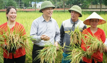 'Dì hai' tỏa sáng ở Đất mỏ