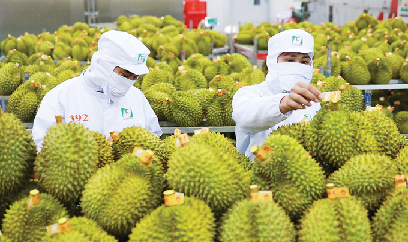 Giá trị xuất khẩu các mặt hàng nông sản tăng 6,3%