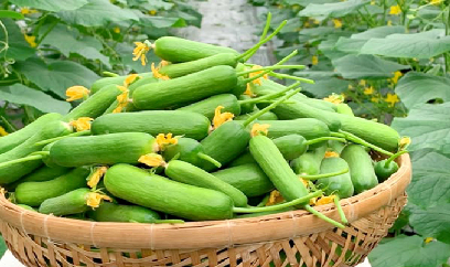 Rau quả Việt Nam có cơ hội ở Thụy Điển nhờ khác biệt mùa vụ