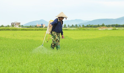 Hà Tĩnh: Sâu bệnh hại phát sinh diện rộng và bất thường