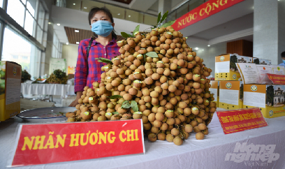 Thông tin, kết nối tiêu thụ vụ nhãn 2021