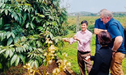 Bắc Ninh kiểm tra, rà soát toàn bộ mã số vùng trồng, cơ sở đóng gói