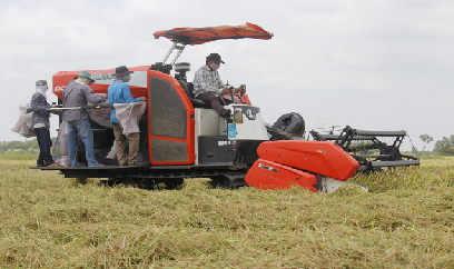 Hậu Giang: Muốn thu hoạch nông sản phải có xét nghiệm âm tính
