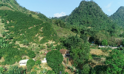 Sơn La sẽ tổng kết 10 năm đưa cây ăn quả lên đất dốc