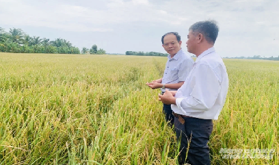 Ngành trồng trọt An Giang tạo nền tảng tăng trưởng xanh, bền vững