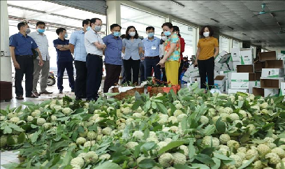 Lạng Sơn tạo điều kiện hỗ trợ nông dân tiêu thụ trái na