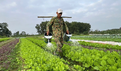 Hà Tĩnh phấn đấu gieo trồng hơn 12.000 ha cây vụ đông