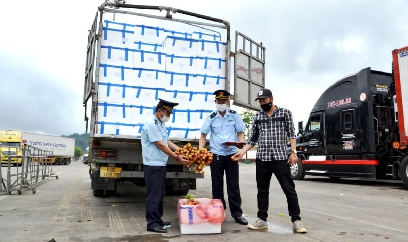 Gần 50 nghìn tấn vải tươi xuất khẩu qua Cửa khẩu Quốc tế Lào Cai