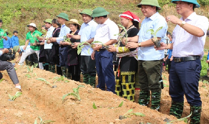 Giá phân bón dự báo còn 'sốt' đến giữa năm 2022
