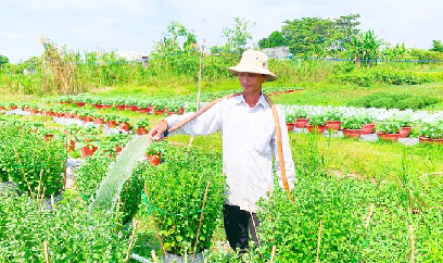 Thấp thỏm thị trường hoa Tết