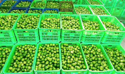 Thị trường EU, phép thử quan trọng cho nông sản Việt
