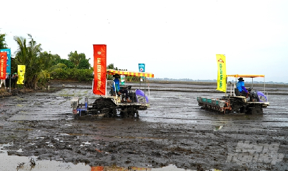 Liên kết và cơ giới hóa để mở rộng vùng chuyên canh lúa chất lượng cao