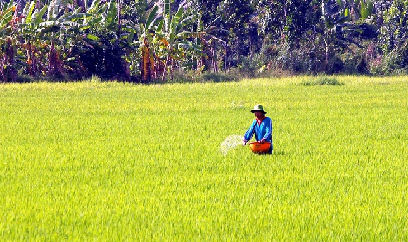 Mỹ tài trợ hơn 100 tỉ đồng để hỗ trợ nông dân Việt Nam sử dụng phân bón đúng