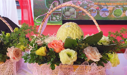 Quả na dai Chi Lăng được đấu giá 220 triệu đồng