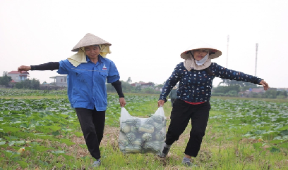 Rủng rỉnh tiền nhờ trồng bí vụ đông