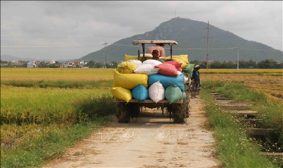 Khuyến cáo về thời gian kết thúc xuống giống vụ Thu Đông