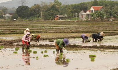 ​8,5% diện tích gieo cấy đã lấy nước trong ngày đầu đợt 1 vụ Đông Xuân