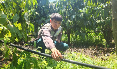 Điện năng lượng mặt trời ‘tiếp sức’ nông dân mùa tưới cà phê